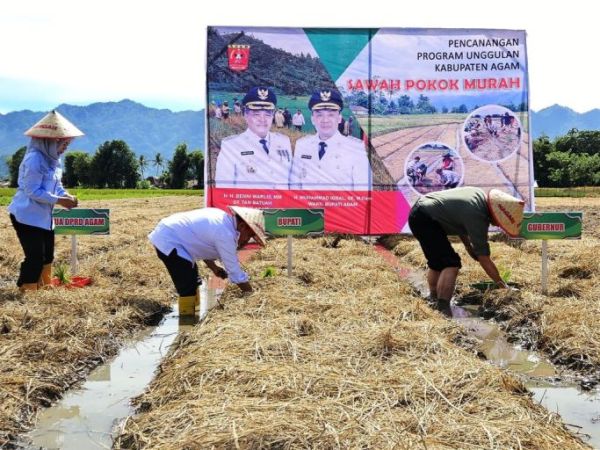 Ketua Dewan Perwakilan Rakyat Daerah Kabupaten Agam, Bupati Kabupaten Agam, dan Gubernur Provinsi Sumatera Barat, saat acara pencanangan Program Sawah Pokok Murah di Jorong Gantiang, Nagari Koto Tangah, Kecamatan Tilatang Kamang, pada hari Jum'at, tanggal 25 April 2025. (urangminang.id/agamkab.go.id)