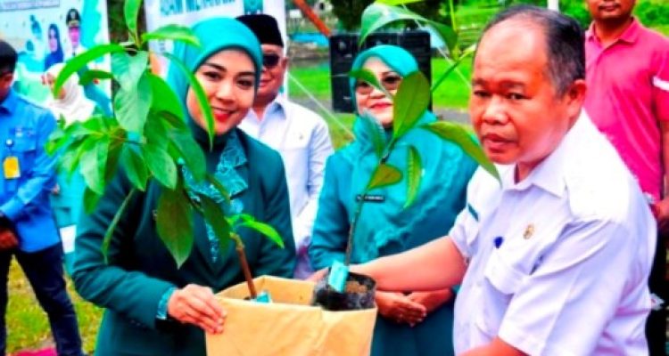 Pemerintah Kabupaten Agam di bawah kepemimpinan Benni Warlis sebagai Bupati, resmi meluncurkan Gerakan Agam Menanam, sebuah inisiatif strategis untuk mendorong swasembada pangan dan pelestarian lingkungan. (URANGMINANG.ID/AGAMKAB.GO.ID)